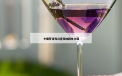 中国梦酒四川宜宾的简单介绍