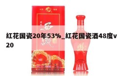 红花国瓷20年53%_红花国瓷酒48度v20